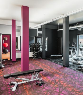 Modern gym with treadmills, weight bench, free weights, large windows, and colorful carpeting.